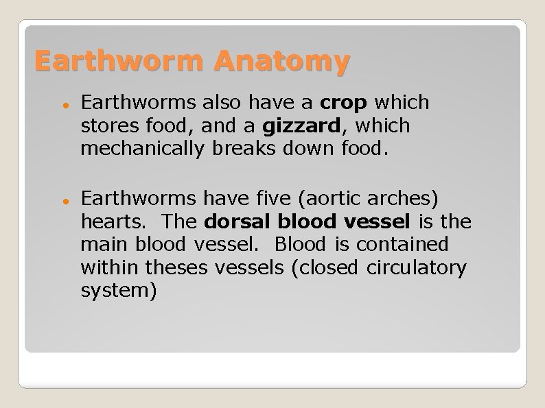 Earthworm Anatomy Earthworms also have a crop which stores food, and a gizzard, which