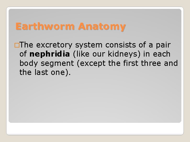 Earthworm Anatomy �The excretory system consists of a pair of nephridia (like our kidneys)