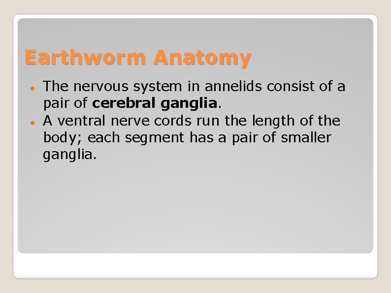 Earthworm Anatomy The nervous system in annelids consist of a pair of cerebral ganglia.