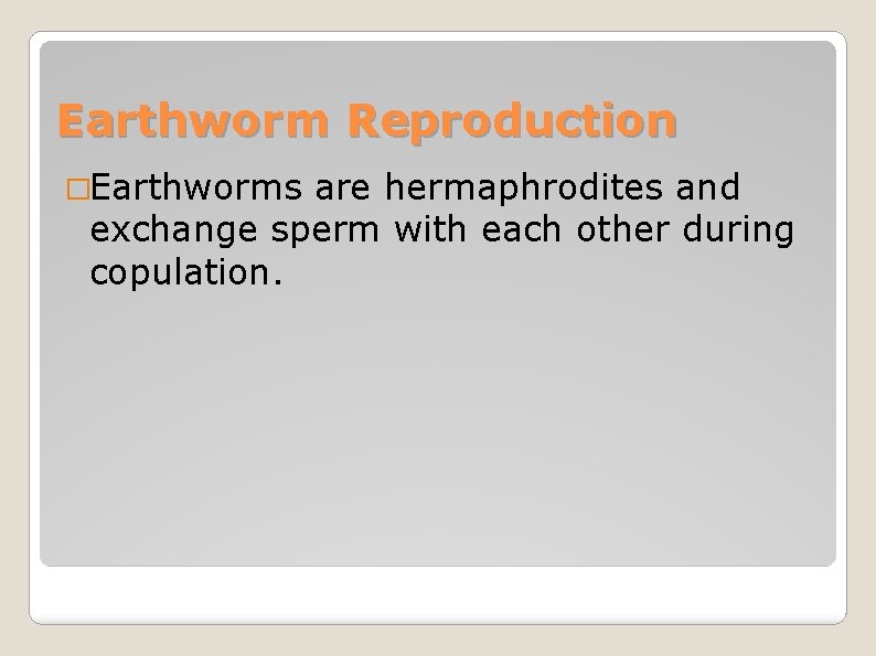 Earthworm Reproduction �Earthworms are hermaphrodites and exchange sperm with each other during copulation. 