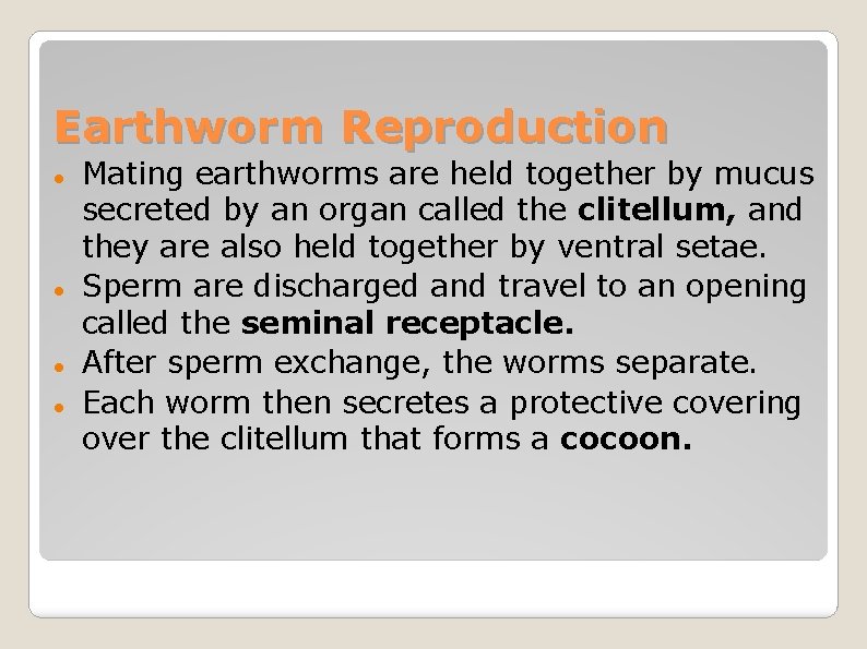 Earthworm Reproduction Mating earthworms are held together by mucus secreted by an organ called