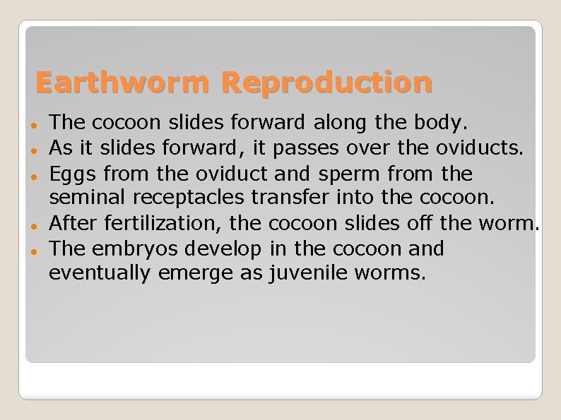 Earthworm Reproduction The cocoon slides forward along the body. As it slides forward, it