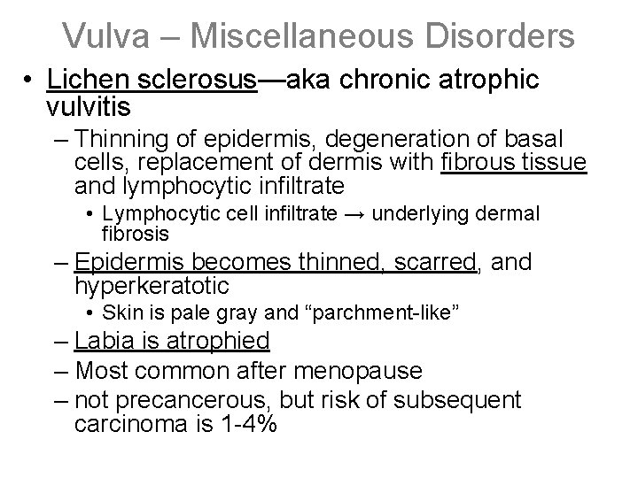 Vulva – Miscellaneous Disorders • Lichen sclerosus—aka chronic atrophic vulvitis – Thinning of epidermis,