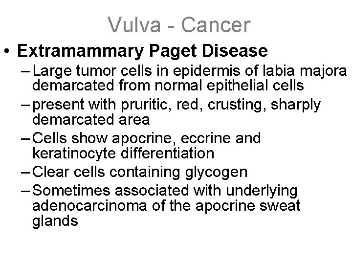 Vulva - Cancer • Extramammary Paget Disease – Large tumor cells in epidermis of