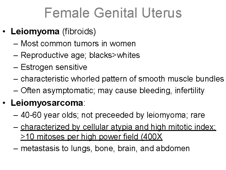 Female Genital Uterus • Leiomyoma (fibroids) – Most common tumors in women – Reproductive