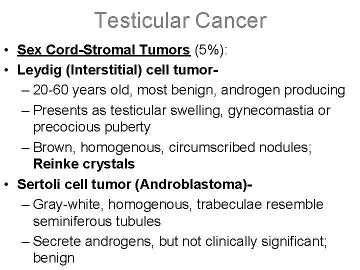 Testicular Cancer • Sex Cord-Stromal Tumors (5%): • Leydig (Interstitial) cell tumor– 20 -60