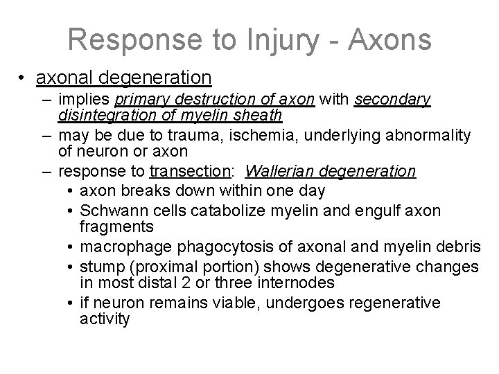 Response to Injury - Axons • axonal degeneration – implies primary destruction of axon