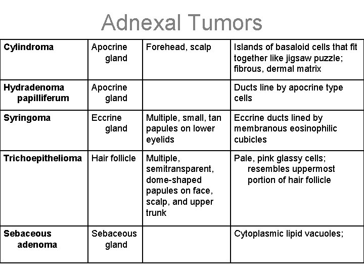 Adnexal Tumors Cylindroma Apocrine gland Forehead, scalp Islands of basaloid cells that fit together