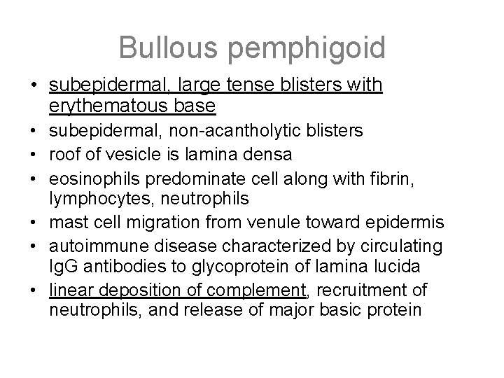 Bullous pemphigoid • subepidermal, large tense blisters with erythematous base • subepidermal, non-acantholytic blisters