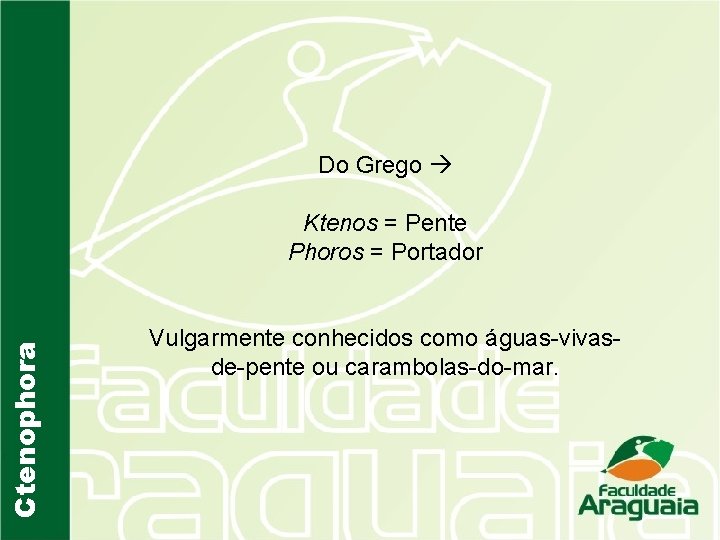 Do Grego Ctenophora Ktenos = Pente Phoros = Portador Vulgarmente conhecidos como águas-vivasde-pente ou