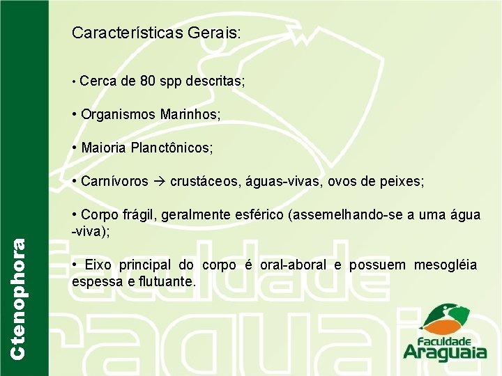 Características Gerais: • Cerca de 80 spp descritas; • Organismos Marinhos; • Maioria Planctônicos;