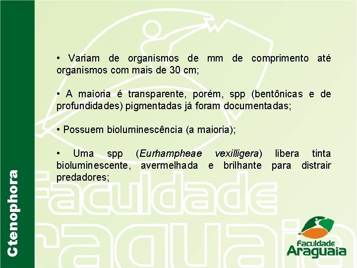  • Variam de organismos de mm de comprimento até organismos com mais de