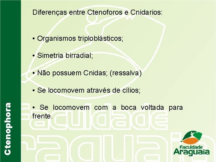 Diferenças entre Ctenoforos e Cnidarios: • Organismos triploblásticos; • Simetria birradial; • Não possuem