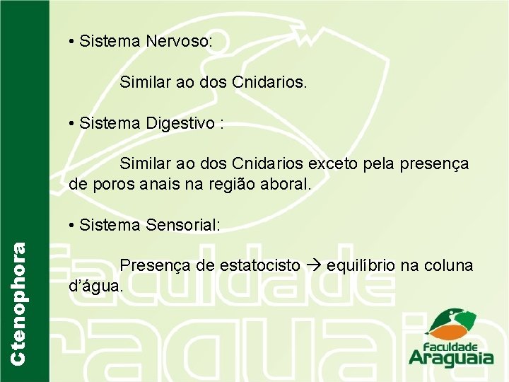  • Sistema Nervoso: Similar ao dos Cnidarios. • Sistema Digestivo : Similar ao