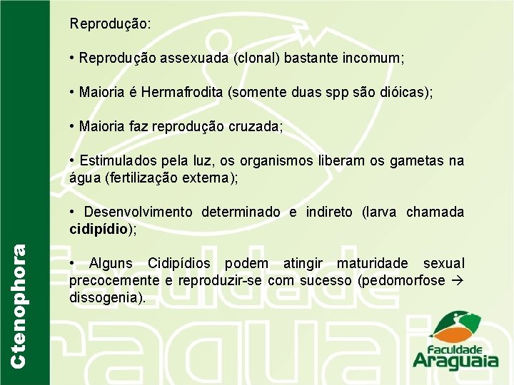 Reprodução: • Reprodução assexuada (clonal) bastante incomum; • Maioria é Hermafrodita (somente duas spp