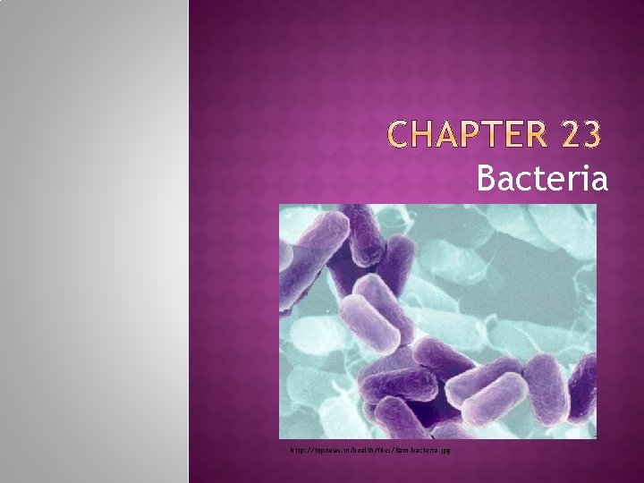 Bacteria http: //topnews. in/health/files/Rain-bacteria. jpg 