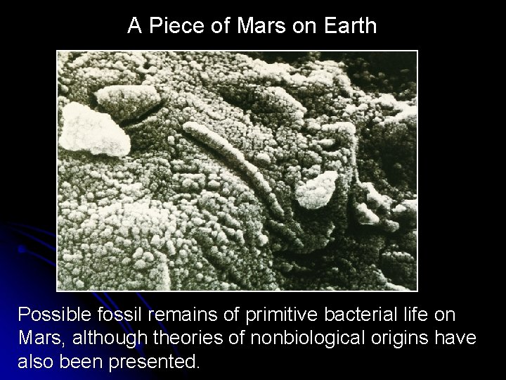 A Piece of Mars on Earth Possible fossil remains of primitive bacterial life on