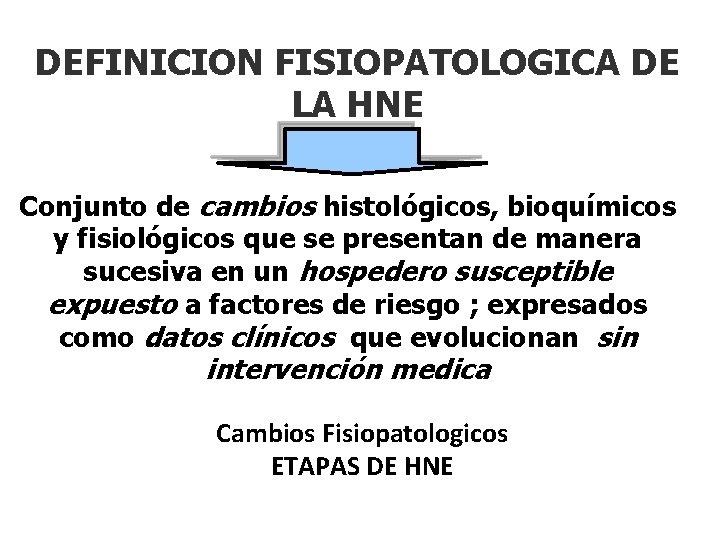 DEFINICION FISIOPATOLOGICA DE LA HNE Conjunto de cambios histológicos, bioquímicos y fisiológicos que se