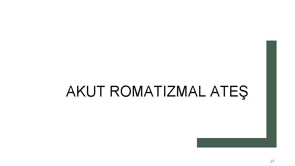 AKUT ROMATIZMAL ATEŞ 27 