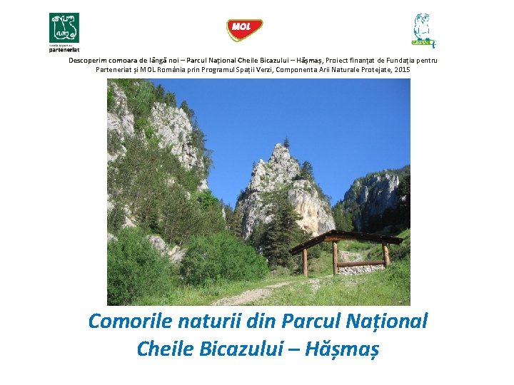 Descoperim comoara de lângă noi – Parcul Național Cheile Bicazului – Hășmaș, Proiect finanțat
