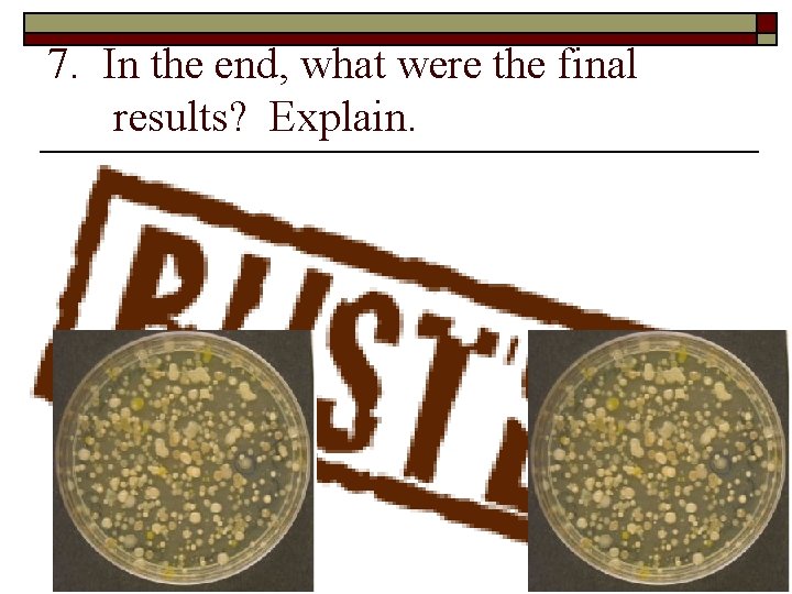 7. In the end, what were the final results? Explain. o o The data 7. In the end, what were the final results? Explain. o o The data