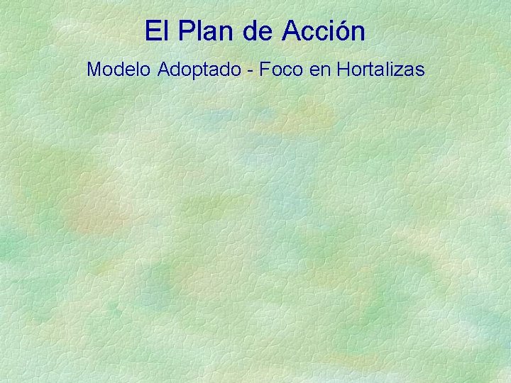 El Plan de Acción Modelo Adoptado - Foco en Hortalizas 