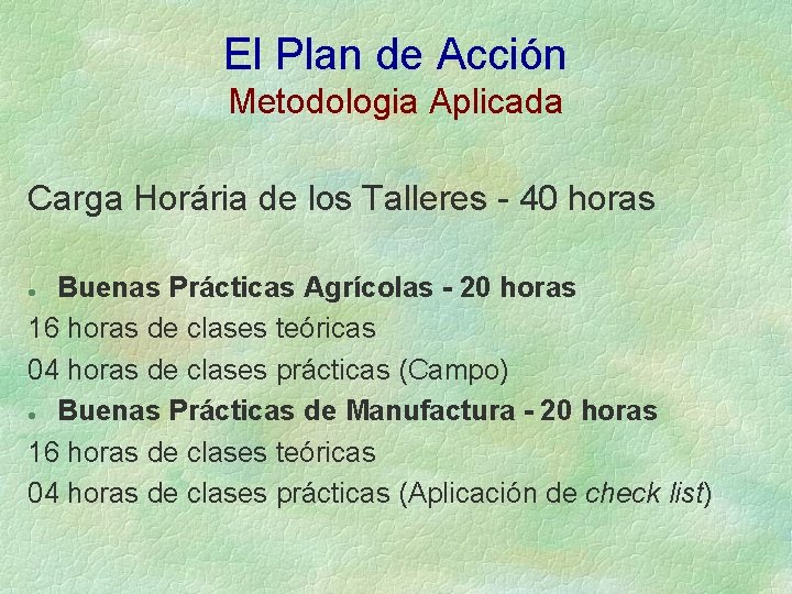 El Plan de Acción Metodologia Aplicada Carga Horária de los Talleres - 40 horas