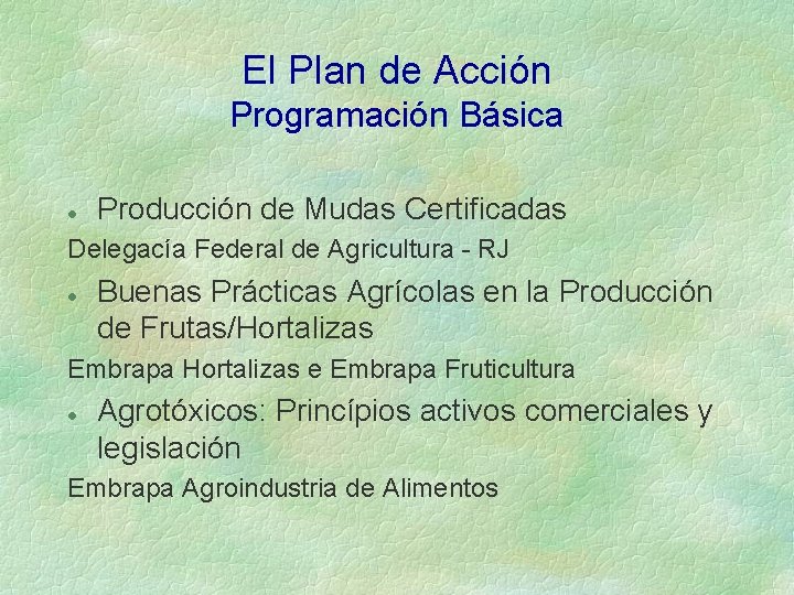 El Plan de Acción Programación Básica l Producción de Mudas Certificadas Delegacía Federal de