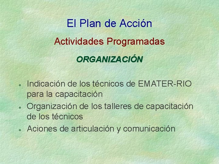 El Plan de Acción Actividades Programadas ORGANIZACIÓN l l l Indicación de los técnicos