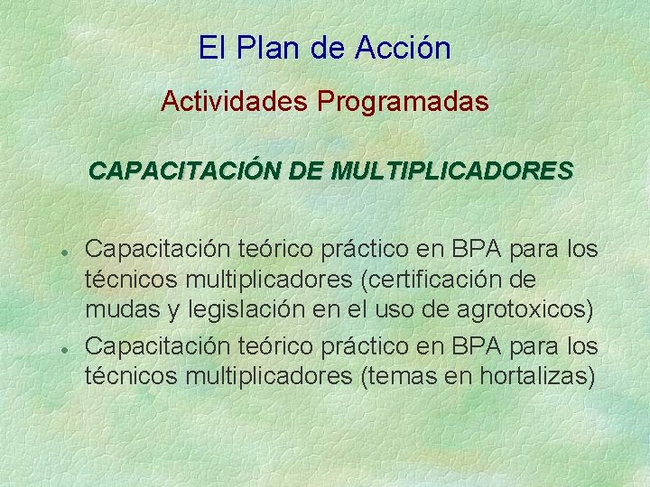 El Plan de Acción Actividades Programadas CAPACITACIÓN DE MULTIPLICADORES l l Capacitación teórico práctico