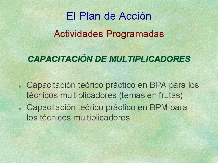 El Plan de Acción Actividades Programadas CAPACITACIÓN DE MULTIPLICADORES l l Capacitación teórico práctico