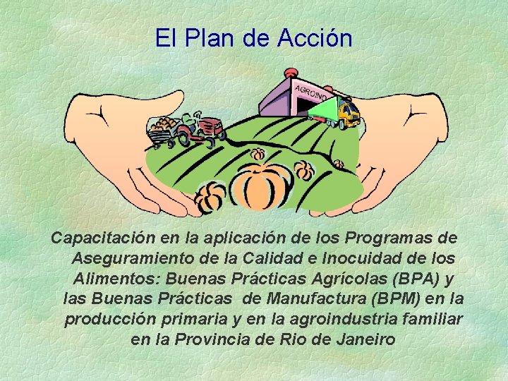 El Plan de Acción Capacitación en la aplicación de los Programas de Aseguramiento de