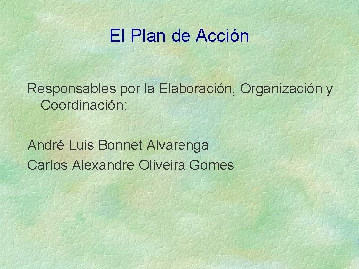 El Plan de Acción Responsables por la Elaboración, Organización y Coordinación: André Luis Bonnet