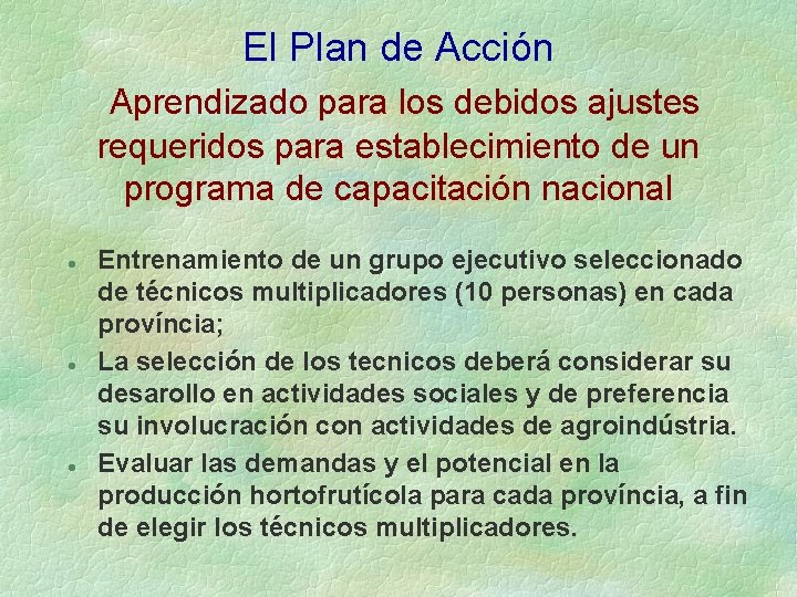 El Plan de Acción Aprendizado para los debidos ajustes requeridos para establecimiento de un