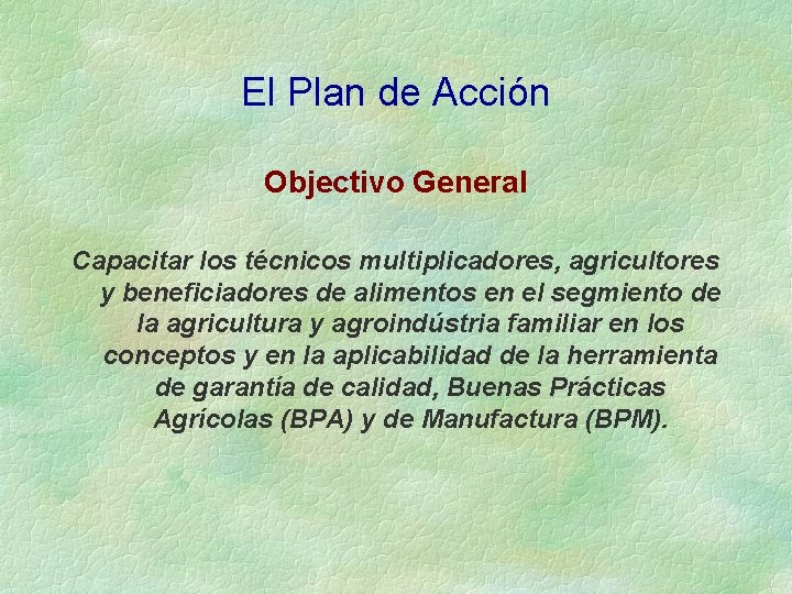 El Plan de Acción Objectivo General Capacitar los técnicos multiplicadores, agricultores y beneficiadores de