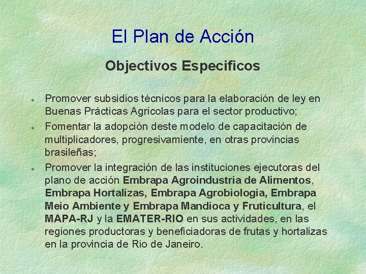 El Plan de Acción Objectivos Especificos l l l Promover subsidios técnicos para la