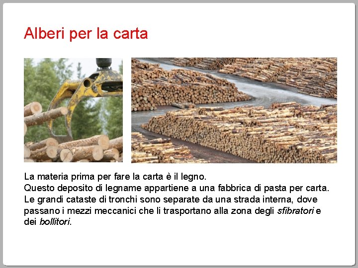 Alberi per la carta La materia prima per fare la carta è il legno.