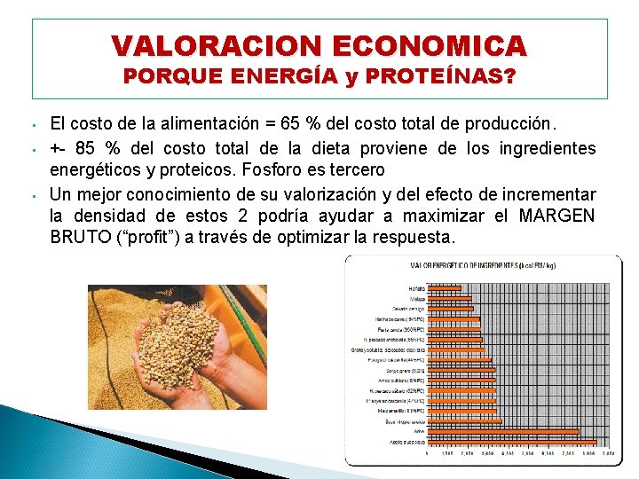 VALORACION ECONOMICA PORQUE ENERGÍA y PROTEÍNAS? • • • El costo de la alimentación