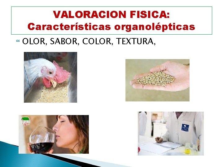 VALORACION FISICA: Características organolépticas OLOR, SABOR, COLOR, TEXTURA, 