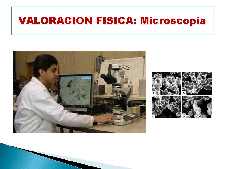 VALORACION FISICA: Microscopia 