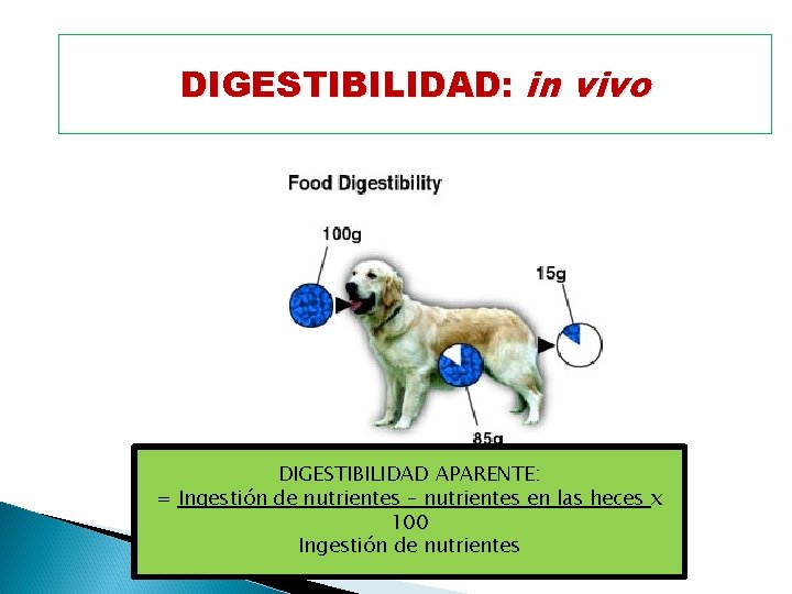 DIGESTIBILIDAD: in vivo DIGESTIBILIDAD APARENTE: = Ingestión de nutrientes – nutrientes en las heces