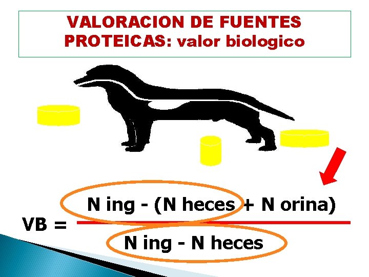 VALORACION DE FUENTES Valor biológico de la proteína PROTEICAS: valor biologico VB = N
