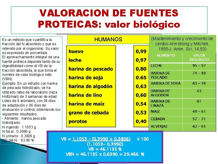 Valor biológico de algunas proteínas VALORACION DE FUENTES PROTEICAS: valor biológico Fuente VB Es