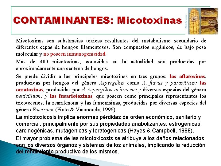 CONTAMINANTES: Micotoxinas son substancias tóxicas resultantes del metabolismo secundario de diferentes cepas de hongos