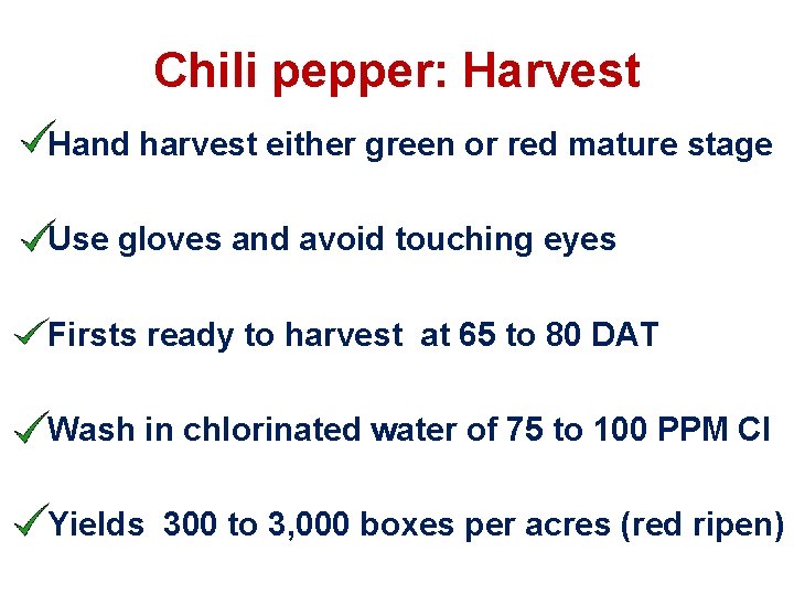 Chili pepper: Harvest Hand harvest either green or red mature stage Use gloves and