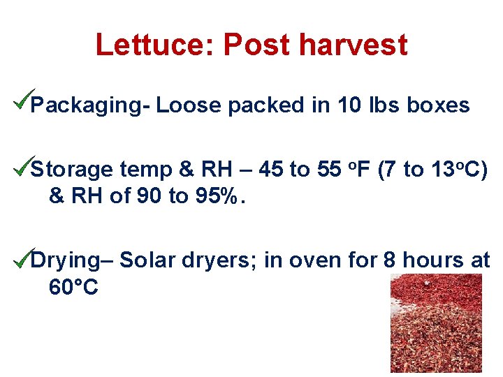 Lettuce: Post harvest Packaging- Loose packed in 10 lbs boxes Storage temp & RH