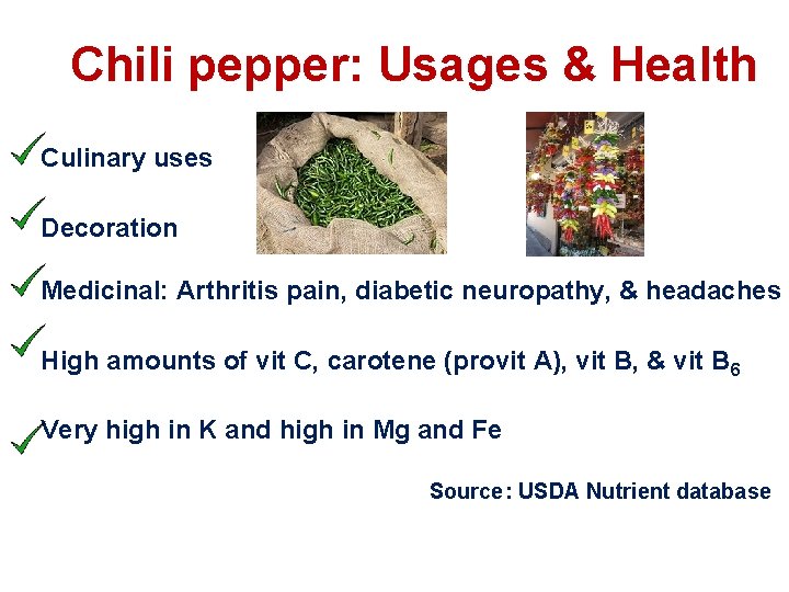 Chili pepper: Usages & Health Culinary uses Decoration Medicinal: Arthritis pain, diabetic neuropathy, &