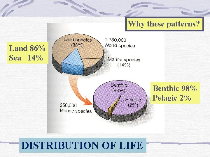Why these patterns? Land 86% Sea 14% Benthic 98% Pelagic 2% DISTRIBUTION OF LIFE