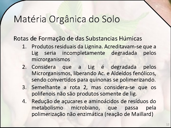 Matéria Orgânica do Solo Rotas de Formação de das Substancias Húmicas 1. Produtos residuais