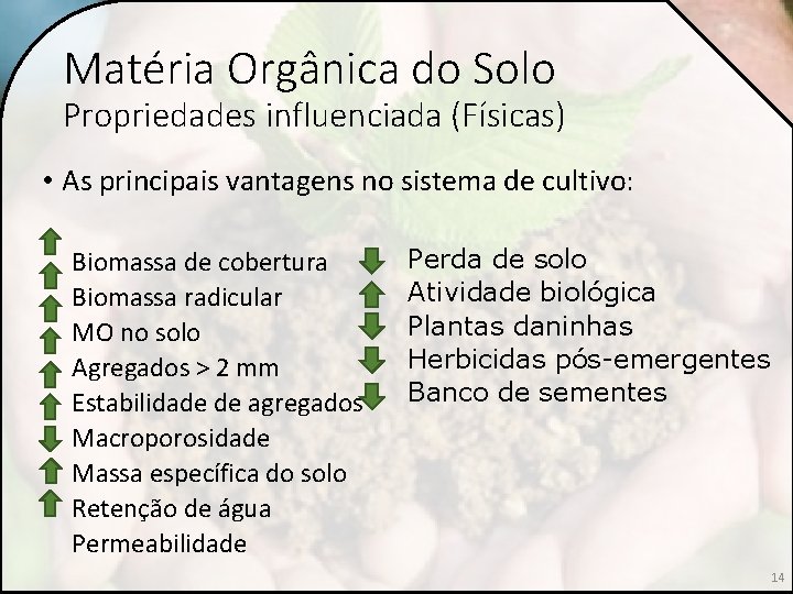 Matéria Orgânica do Solo Propriedades influenciada (Físicas) • As principais vantagens no sistema de